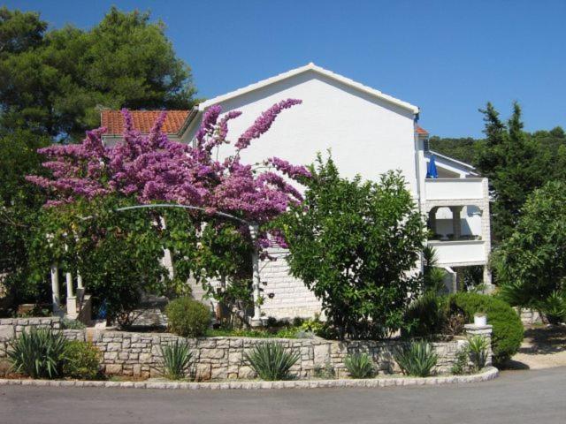 Apartments Sarah Medvinjak Экстерьер фото